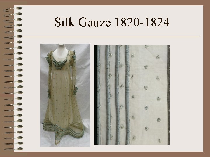 Silk Gauze 1820 -1824 