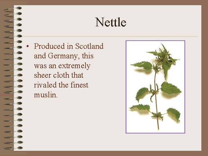 Nettle • Produced in Scotland Germany, this was an extremely sheer cloth that rivaled