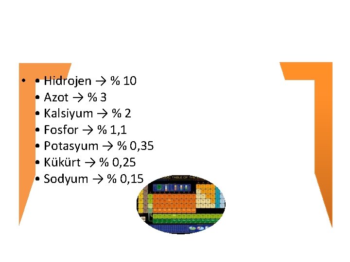  • • Hidrojen → % 10 • Azot → % 3 • Kalsiyum
