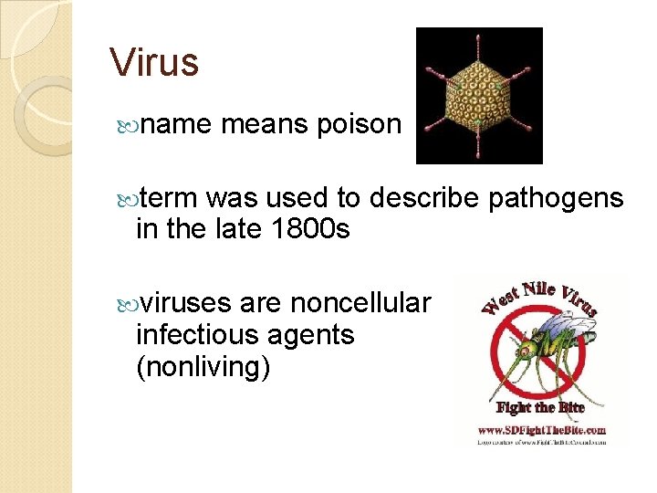 Virus name means poison term was used to describe pathogens in the late 1800
