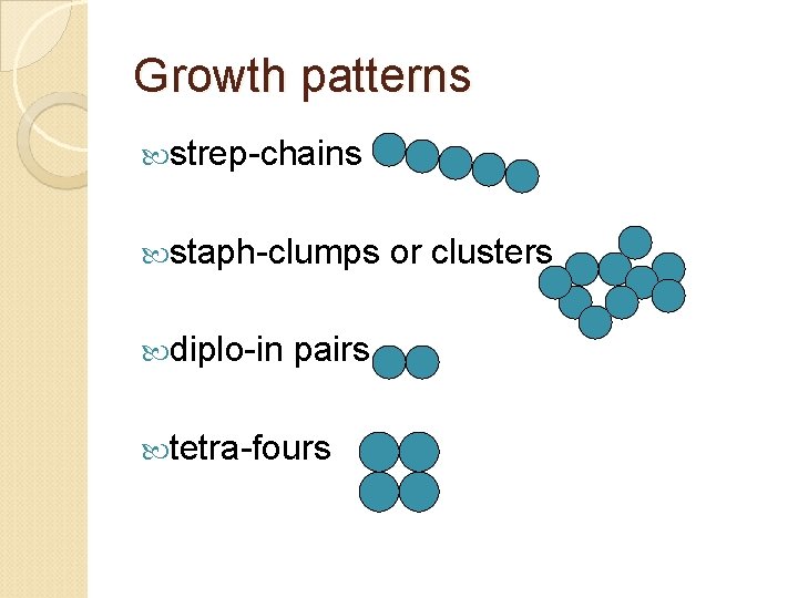 Growth patterns strep-chains staph-clumps or clusters diplo-in pairs tetra-fours 