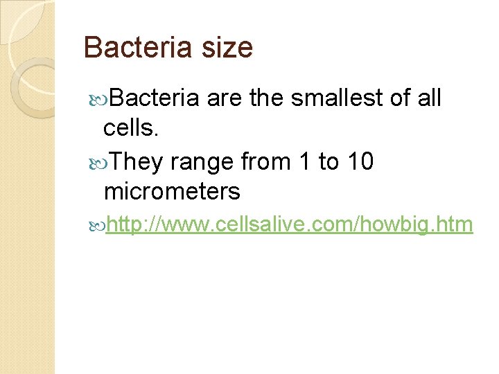 Bacteria size Bacteria are the smallest of all cells. They range from 1 to