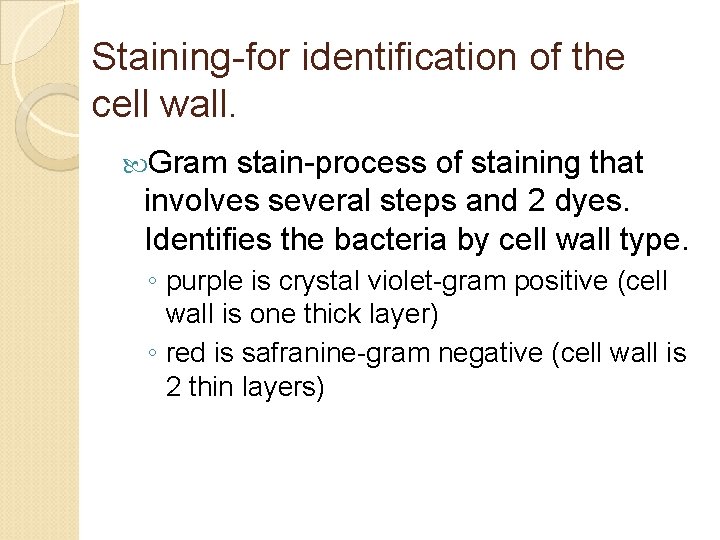 Staining-for identification of the cell wall. Gram stain-process of staining that involves several steps