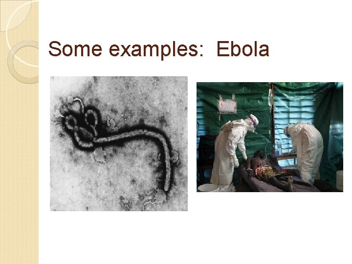 Some examples: Ebola 