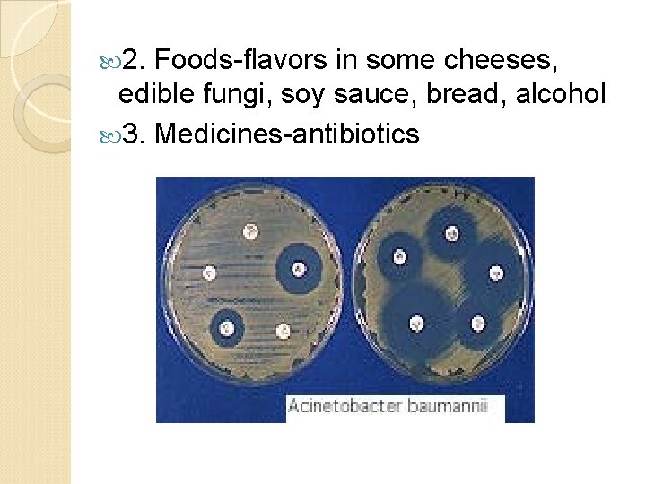  2. Foods-flavors in some cheeses, edible fungi, soy sauce, bread, alcohol 3. Medicines-antibiotics