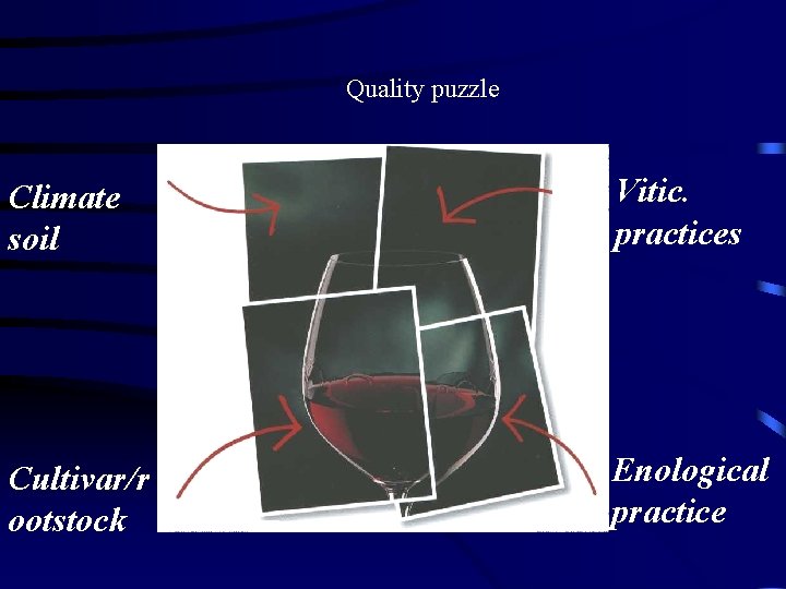 Quality puzzle Climate soil Vitic. practices Cultivar/r ootstock Enological practice 