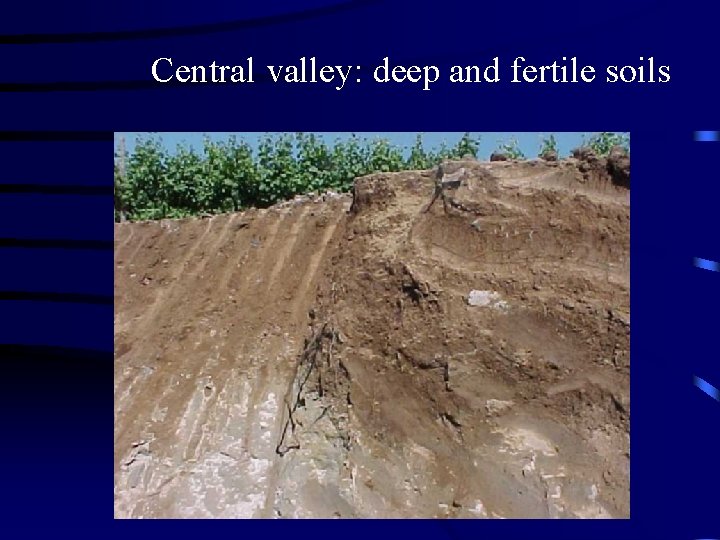 Central valley: deep and fertile soils 