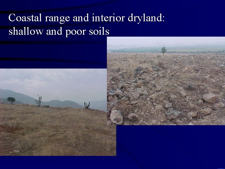 Coastal range and interior dryland: shallow and poor soils 