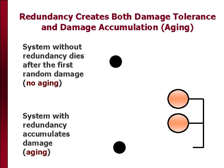 Redundancy Creates Both Damage Tolerance and Damage Accumulation (Aging) System without redundancy dies after