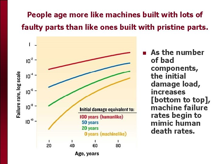 People age more like machines built with lots of faulty parts than like ones