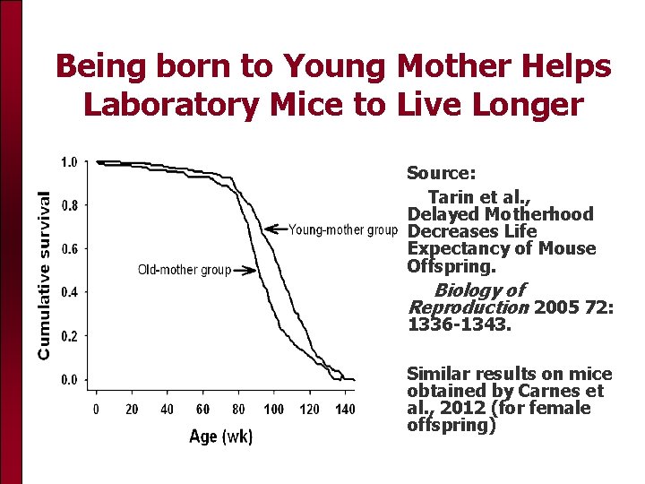 Being born to Young Mother Helps Laboratory Mice to Live Longer Source: Tarin et