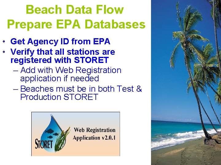 Beach Data Flow Prepare EPA Databases • Get Agency ID from EPA • Verify