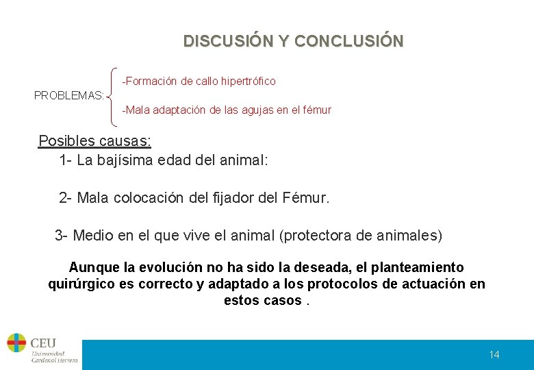 DISCUSIÓN Y CONCLUSIÓN -Formación de callo hipertrófico PROBLEMAS: -Mala adaptación de las agujas en