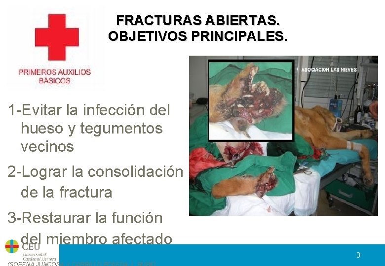 FRACTURAS ABIERTAS. OBJETIVOS PRINCIPALES. 1 -Evitar la infección del hueso y tegumentos vecinos 2