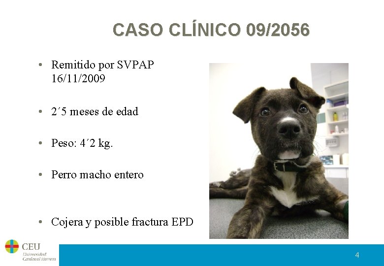 CASO CLÍNICO 09/2056 • Remitido por SVPAP 16/11/2009 • 2´ 5 meses de edad