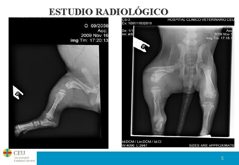 ESTUDIO RADIOLÓGICO 5 