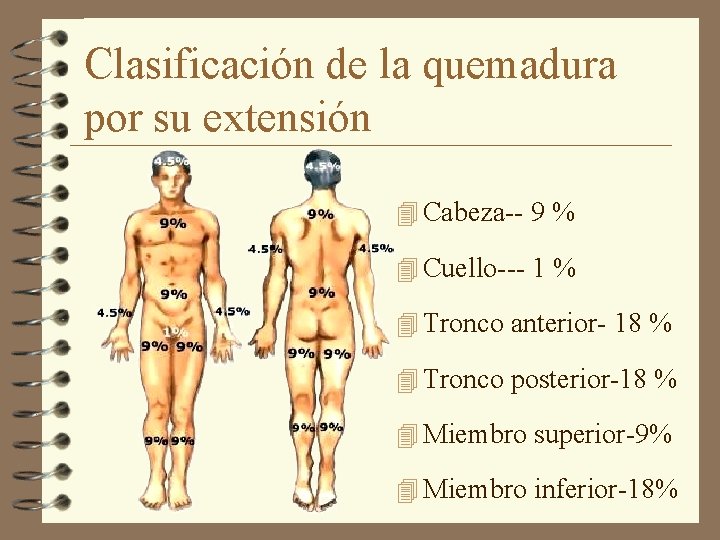 Clasificación de la quemadura por su extensión 4 Cabeza-- 9 % 4 Cuello--- 1