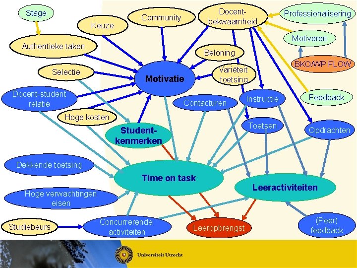 Stage Keuze Docentbekwaamheid Community Professionalisering Motiveren Authentieke taken Beloning Selectie Motivatie Docent-student relatie BKO/WP