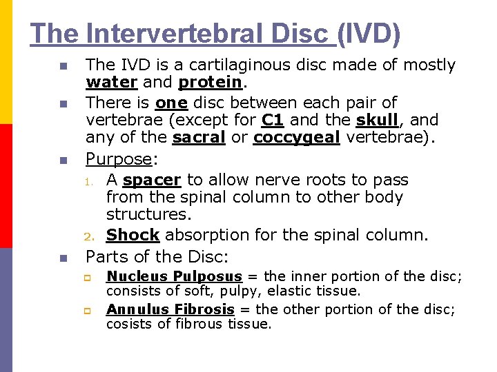 The Intervertebral Disc (IVD) The IVD is a cartilaginous disc made of mostly water