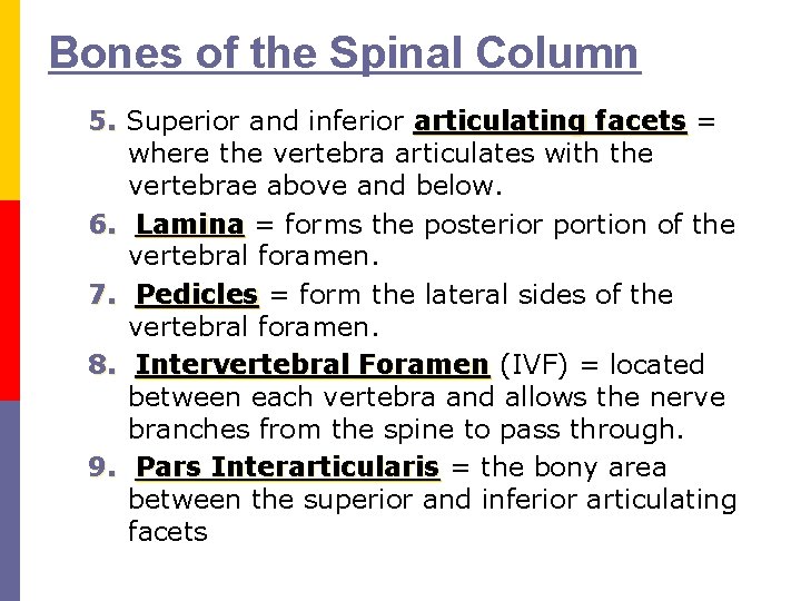 Bones of the Spinal Column 5. Superior and inferior articulating facets = where the