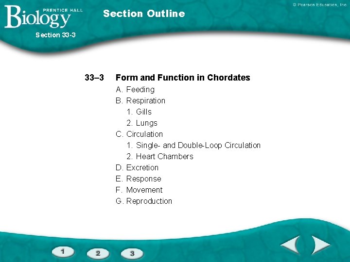 Section Outline Section 33 -3 33– 3 Form and Function in Chordates A. Feeding