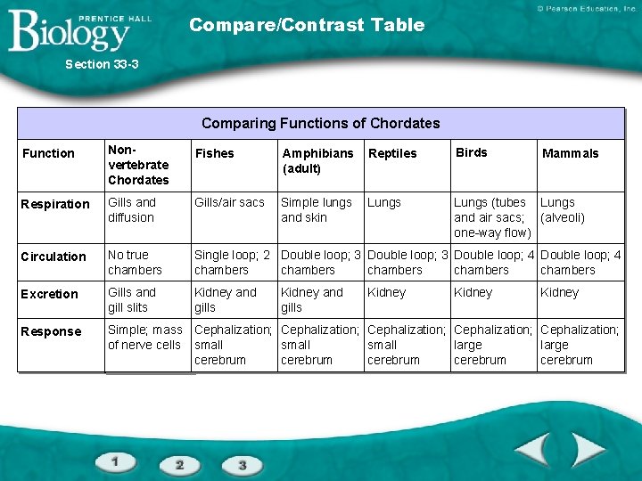 Compare/Contrast Table Section 33 -3 Comparing Functions of Chordates Function Nonvertebrate Chordates Fishes Amphibians