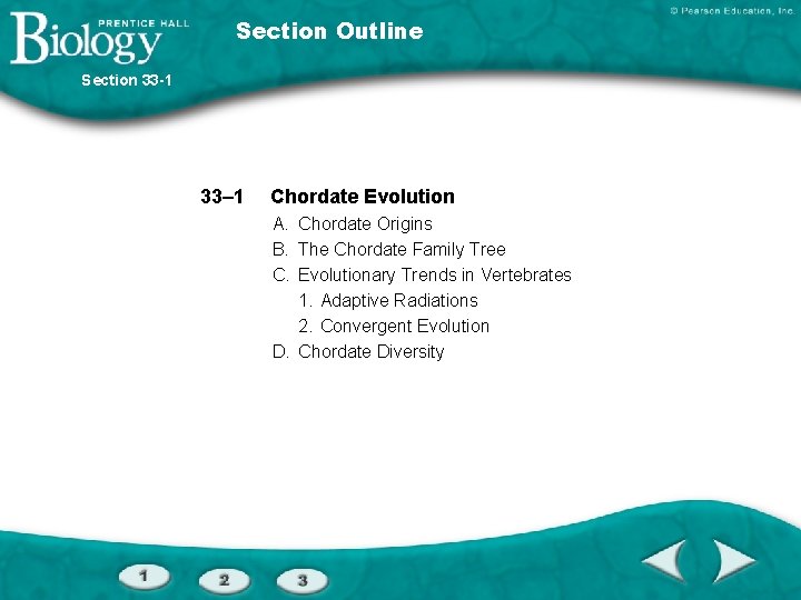 Section Outline Section 33 -1 33– 1 Chordate Evolution A. Chordate Origins B. The