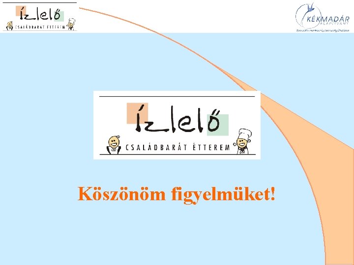 Köszönöm figyelmüket! 