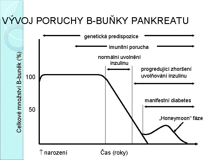 VÝVOJ PORUCHY B-BUŇKY PANKREATU genetická predispozice Celkové množství B-buněk (%) imunitní porucha 100 normální