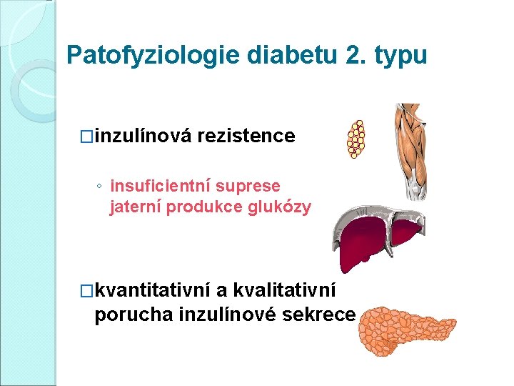 Patofyziologie diabetu 2. typu �inzulínová rezistence ◦ insuficientní suprese jaterní produkce glukózy �kvantitativní a