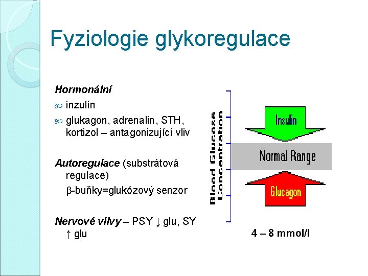 Fyziologie glykoregulace Hormonální inzulín glukagon, adrenalin, STH, kortizol – antagonizující vliv Autoregulace (substrátová regulace)