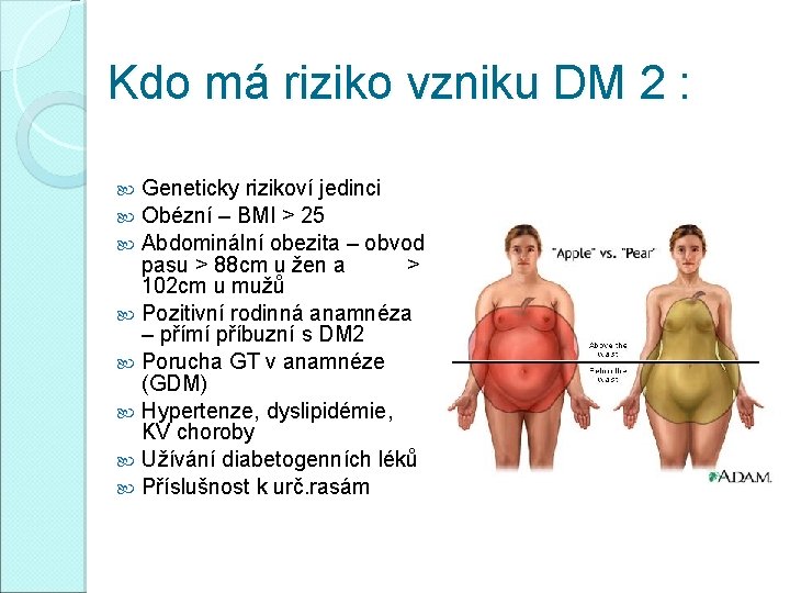 Kdo má riziko vzniku DM 2 : Geneticky rizikoví jedinci Obézní – BMI >