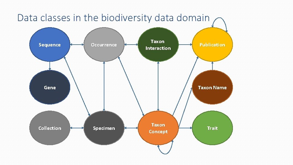 Data classes in the biodiversity data domain Sequence Occurrence Taxon Interaction Gene Collection Publication