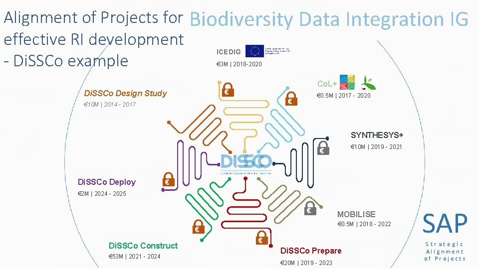 Alignment of Projects for Biodiversity Data Integration IG effective RI development - Di. SSCo