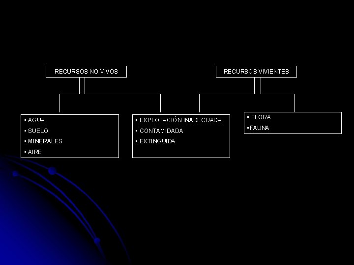 RECURSOS NO VIVOS RECURSOS VIVIENTES • AGUA • EXPLOTACIÓN INADECUADA • FLORA • SUELO