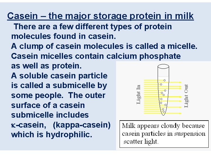 Casein – the major storage protein in milk There a few different types of