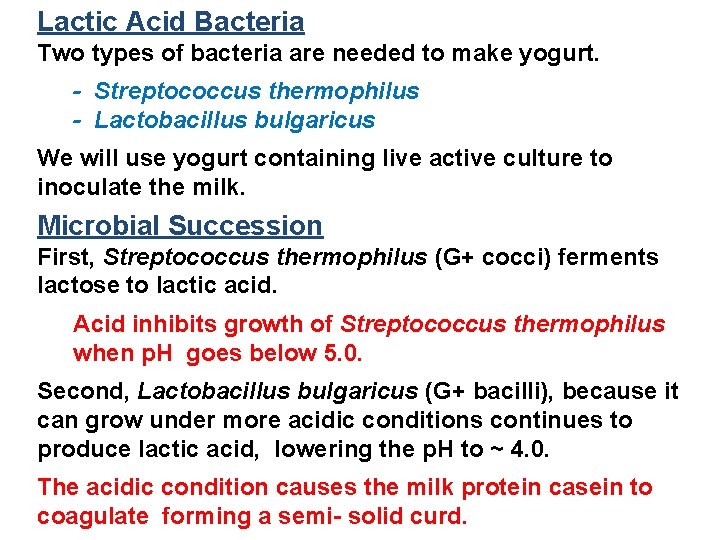 Lactic Acid Bacteria Two types of bacteria are needed to make yogurt. - Streptococcus