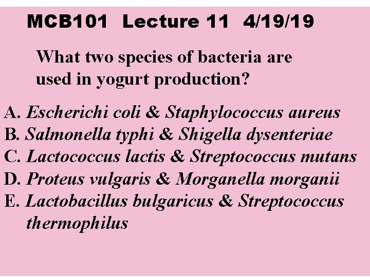 MCB 101 Lecture 11 4/19/19 What two species of bacteria are used in yogurt