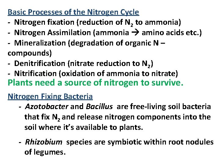 Basic Processes of the Nitrogen Cycle - Nitrogen fixation (reduction of N 2 to