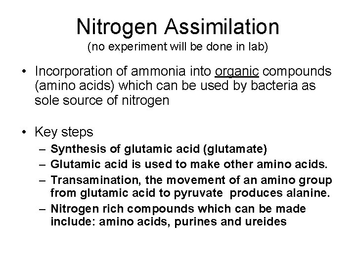 Nitrogen Assimilation (no experiment will be done in lab) • Incorporation of ammonia into