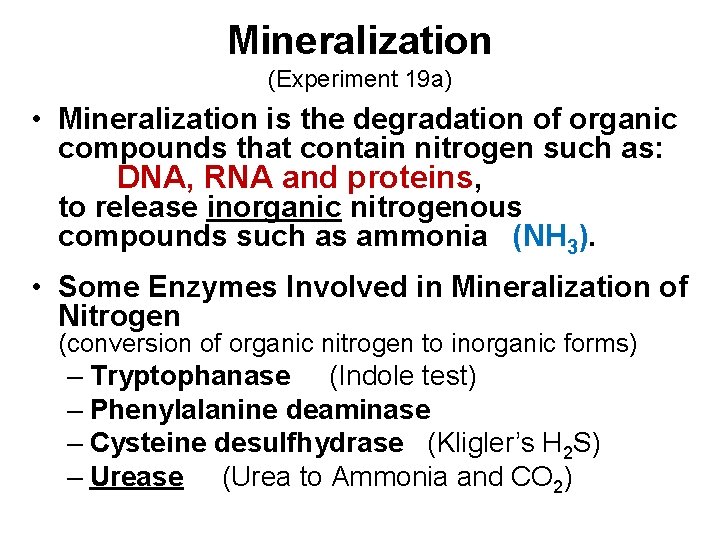 Mineralization (Experiment 19 a) • Mineralization is the degradation of organic compounds that contain