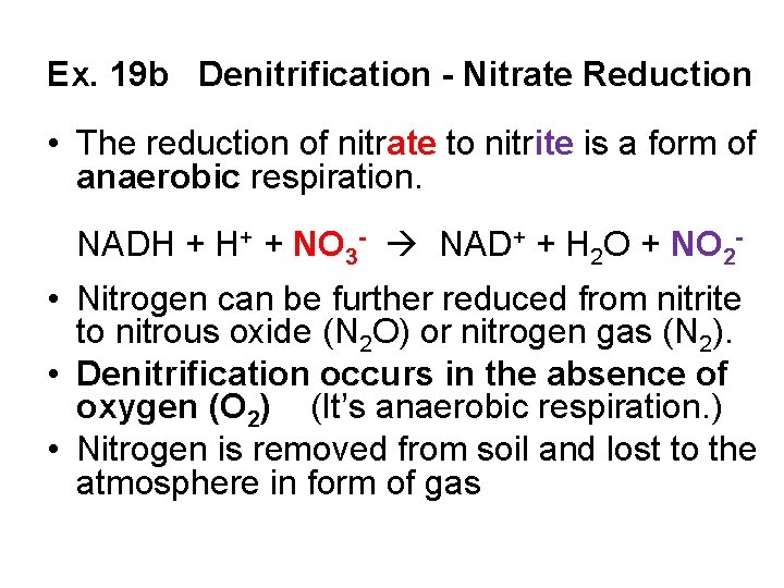 Ex. 19 b Denitrification - Nitrate Reduction • The reduction of nitrate to nitrite