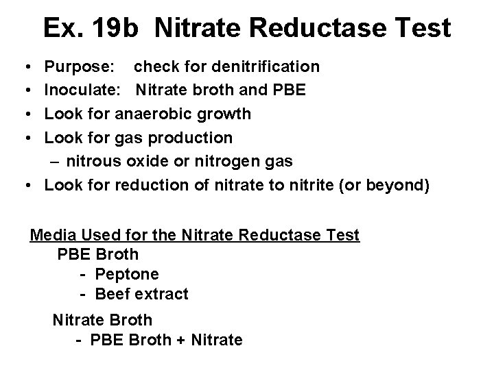 Ex. 19 b Nitrate Reductase Test • • Purpose: check for denitrification Inoculate: Nitrate
