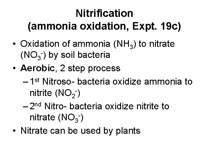 Nitrification (ammonia oxidation, Expt. 19 c) • Oxidation of ammonia (NH 3) to nitrate