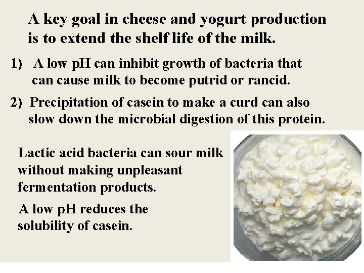 A key goal in cheese and yogurt production is to extend the shelf life