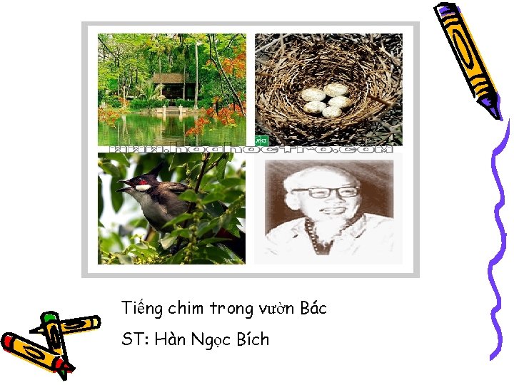 Tiếng chim trong vườn Bác ST: Hàn Ngọc Bích 