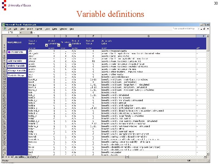 30 Variable definitions 