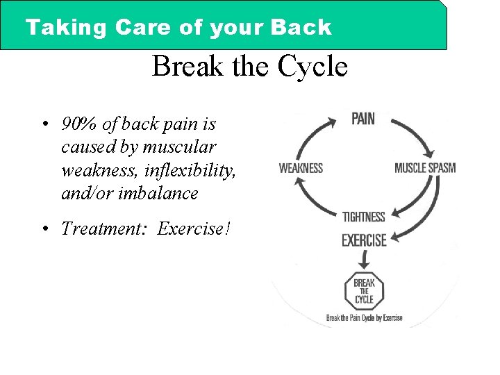 Taking Care of your Back Break the Cycle • 90% of back pain is