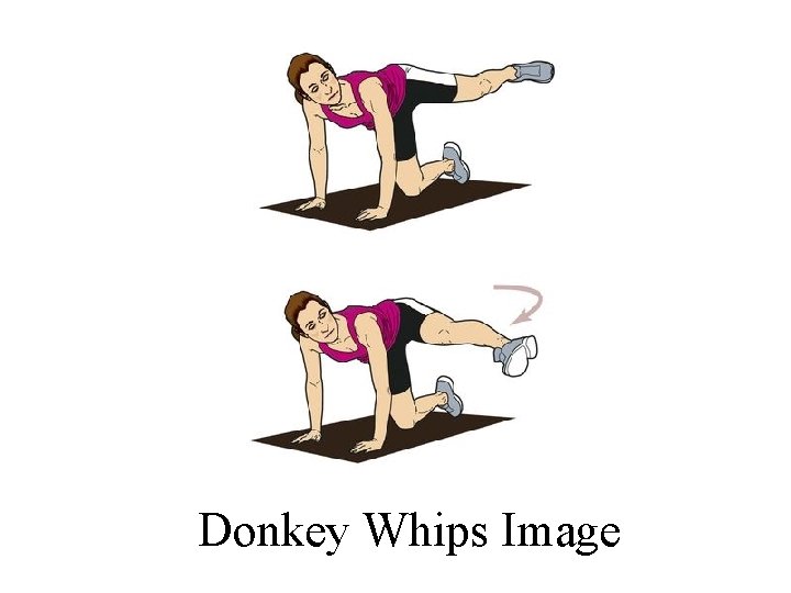 Donkey Whips Image 