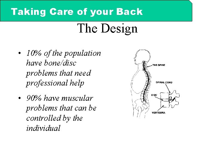 Taking Care of your Back The Design • 10% of the population have bone/disc